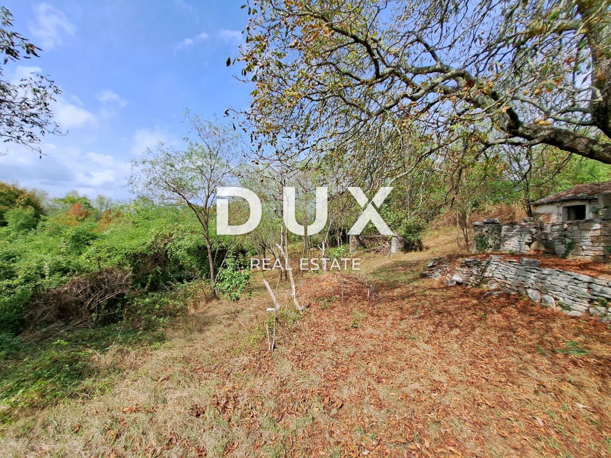 ISTRIA, GROŽNJAN, DINTORNI - terreno di 60.000 m², con un edificio di 21 m²