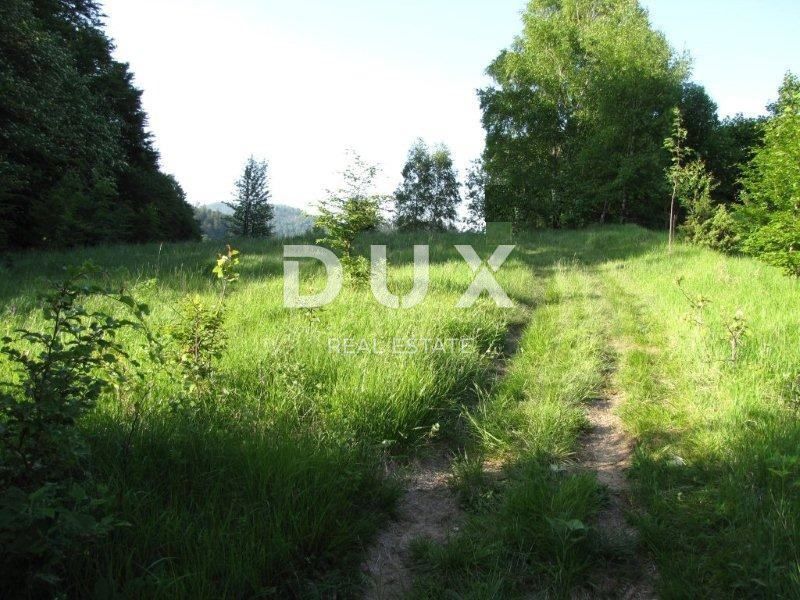 GORSKI KOTAR, FUŽINE - terreno edificabile (strutture turistiche rurali) 4762 m2 con progetto preliminare, prezzo ribassato, 15 EUR m2, OCCASIONE ECCEZIONALE!!!!