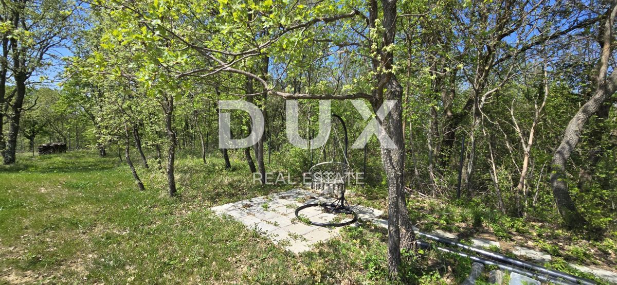 ISTRIA, MONTONA, DINTORNI - Una vista panoramica che vi toglierà il fiato! Bellissima villa fronte verde con completa privacy