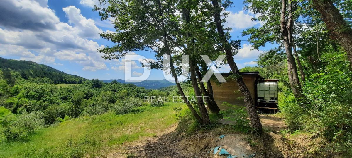 ISTRIA, CEROVLJE, GRIMALDA – Uliveto tra le colline, 280 alberi su 2,4 ha
