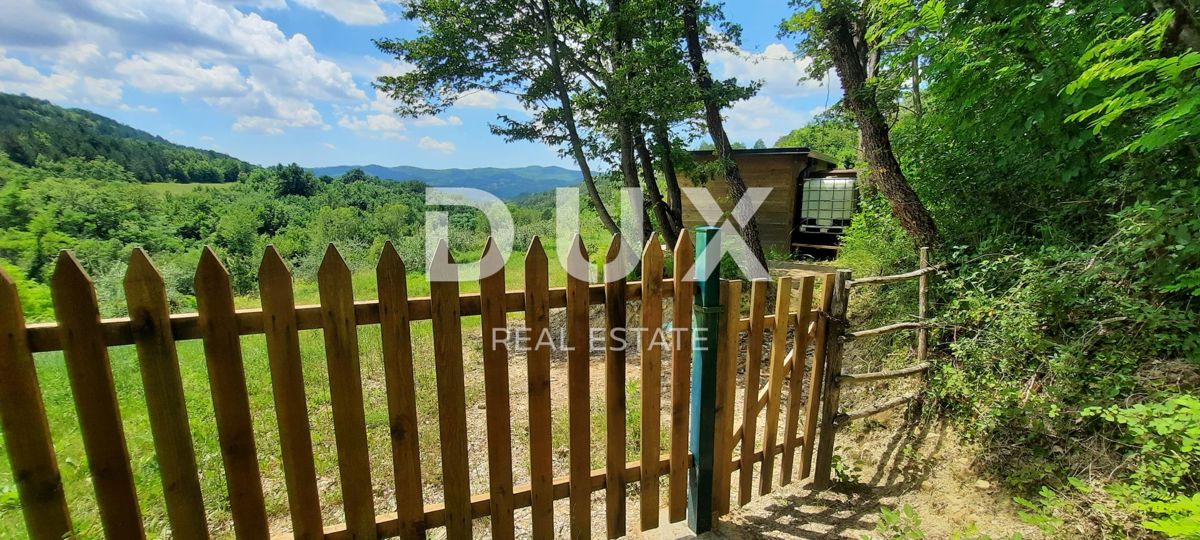 ISTRIA, CEROVLJE, GRIMALDA – Uliveto tra le colline, 280 alberi su 2,4 ha