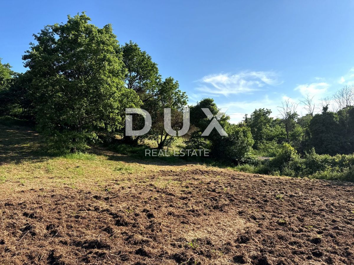 ISTRIA, BARBAN (DINORDI) - Terreno edificabile in zona appartata, a soli 2 km dal mare!