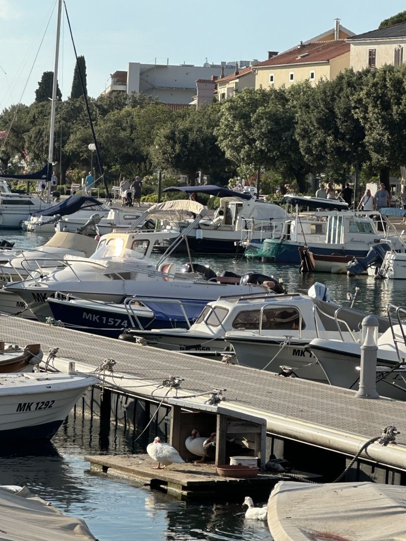 ISOLA DI KRK, MALINSKA - Piccolo appartamento con giardino esterno, vendita urgente!