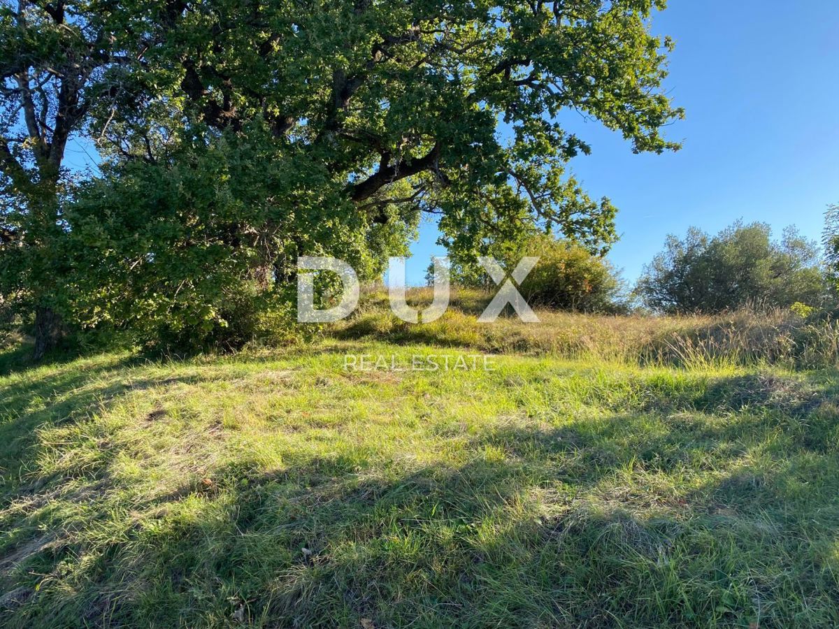 ISTRIA, DRAGUĆ - terreno edificabile 2.257 per un edificio residenziale - appartamenti/appartamenti/casa bifamiliare/villa! OPPORTUNITÀ!!!