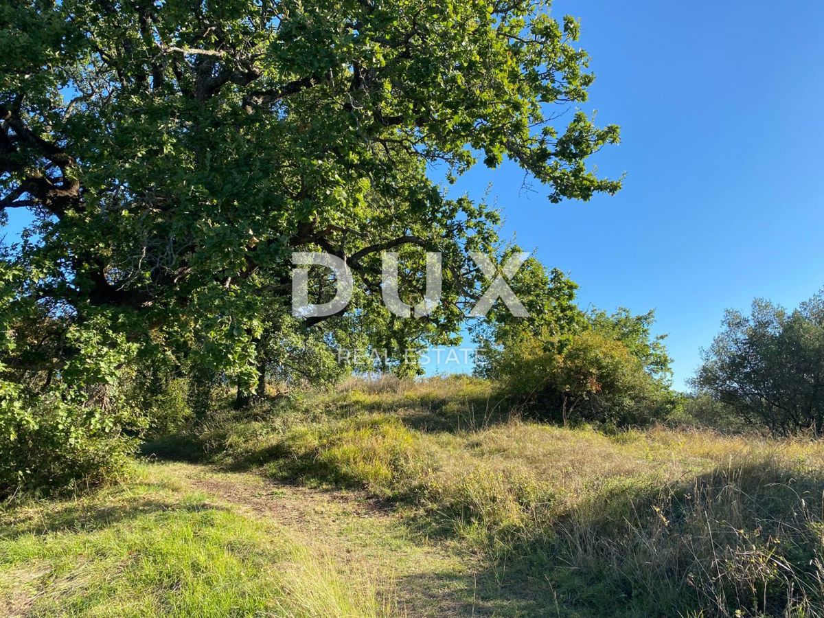 ISTRIA, DRAGUĆ - terreno edificabile 2.257 per un edificio residenziale - appartamenti/appartamenti/casa bifamiliare/villa! OPPORTUNITÀ!!!