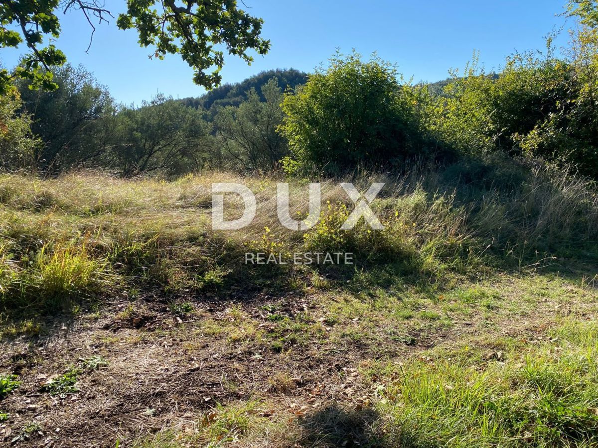 ISTRIA, DRAGUĆ - terreno edificabile 2.257 per un edificio residenziale - appartamenti/appartamenti/casa bifamiliare/villa! OPPORTUNITÀ!!!