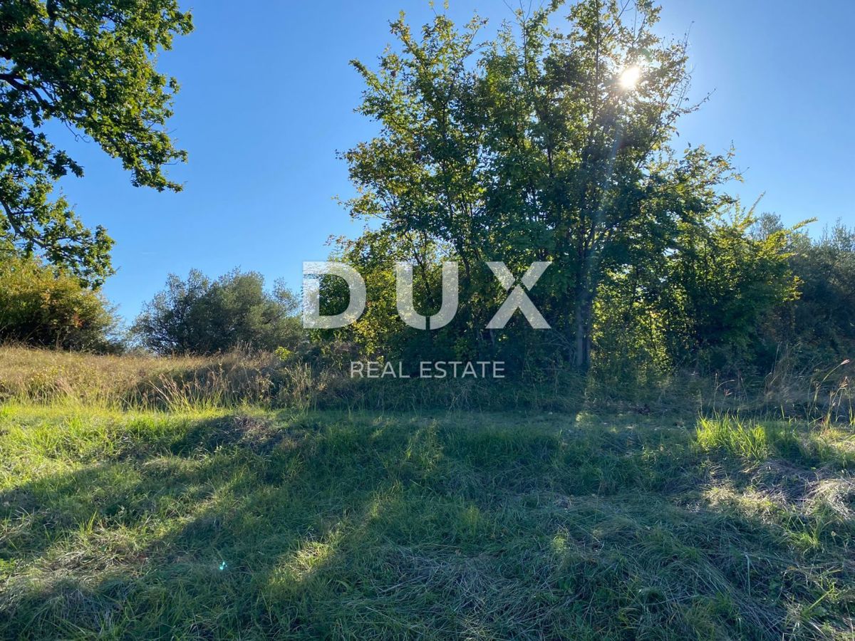 ISTRIA, DRAGUĆ - terreno edificabile 2.257 per un edificio residenziale - appartamenti/appartamenti/casa bifamiliare/villa! OPPORTUNITÀ!!!