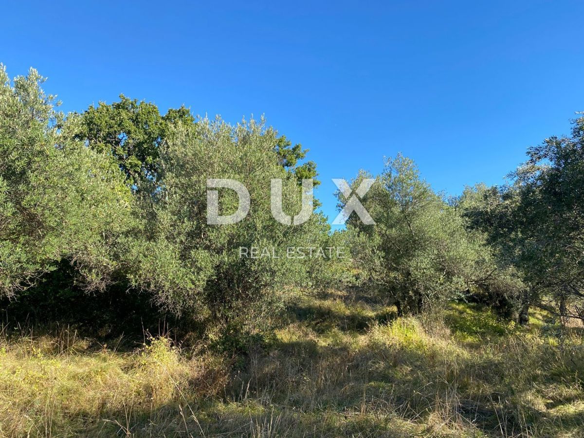 ISTRIA, DRAGUĆ - terreno edificabile 2.257 per un edificio residenziale - appartamenti/appartamenti/casa bifamiliare/villa! OPPORTUNITÀ!!!