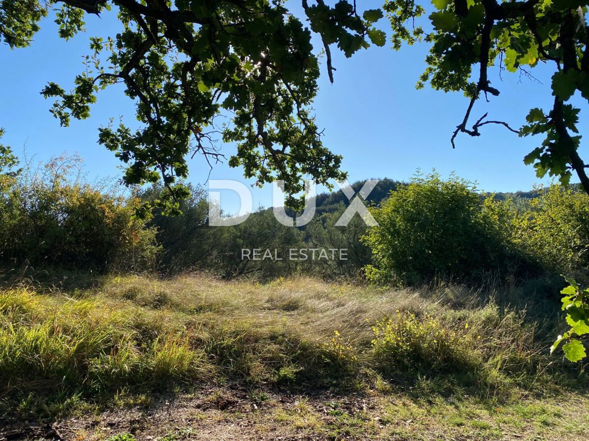 ISTRIA, DRAGUĆ - terreno edificabile 2.257 per un edificio residenziale - appartamenti/appartamenti/casa bifamiliare/villa! OPPORTUNITÀ!!!