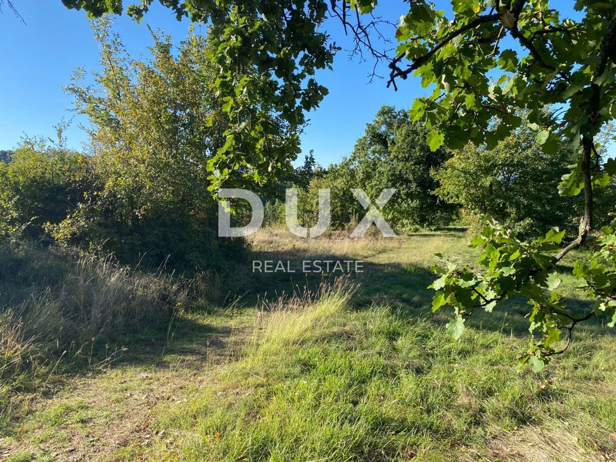 ISTRIA, DRAGUĆ - terreno edificabile 2.257 per un edificio residenziale - appartamenti/appartamenti/casa bifamiliare/villa! OPPORTUNITÀ!!!