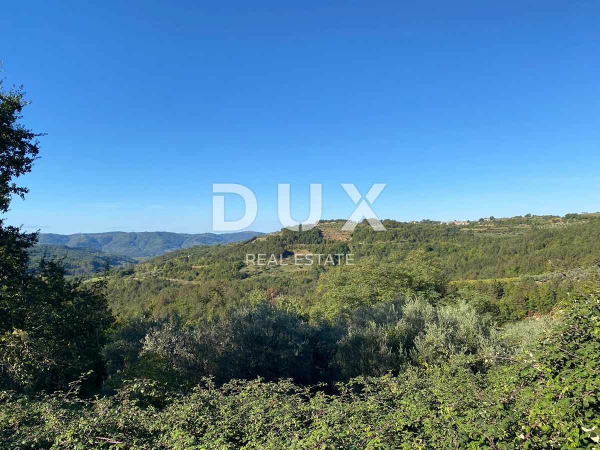 ISTRIA, DRAGUĆ - terreno edificabile 2.257 per un edificio residenziale - appartamenti/appartamenti/casa bifamiliare/villa! OPPORTUNITÀ!!!