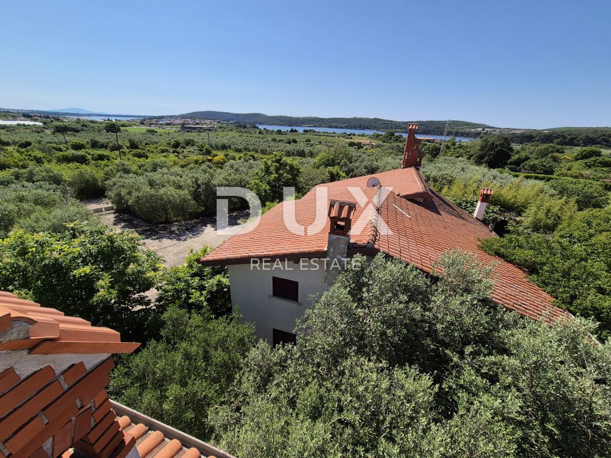 ISTRIA, POMER - Due case circondate da uliveti e boschi con vista mare 
