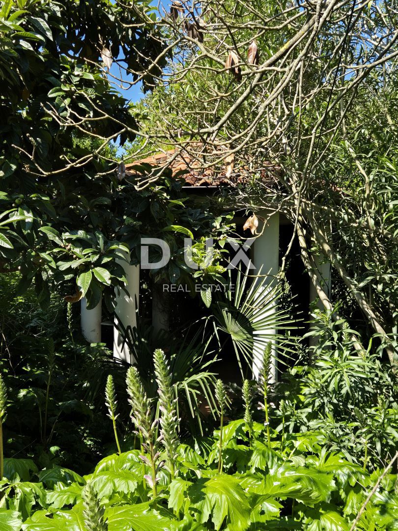 ISTRIA, POMER - Due case circondate da uliveti e boschi con vista mare 