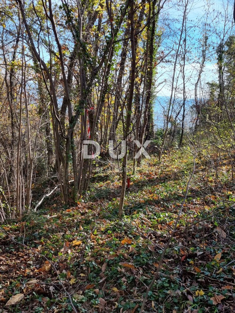 OPATIJA, IČIĆI, POLJANE - terreno edificabile di 17500 m2 per scopi turistici con vista mare per affittare hotel/boutique hotel/motel/appartamenti/ville/case - vacanze con piscina - a 7 minuti dal tunnel dell'Učka! 