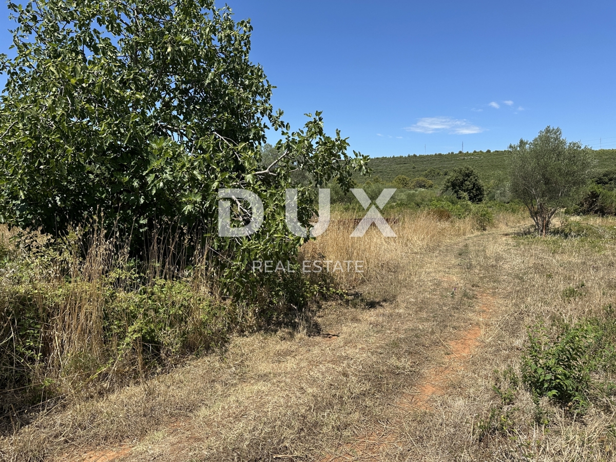 ZADAR, SUKOŠAN – Terreno edificabile a 300 m dal mare, 1128 m²