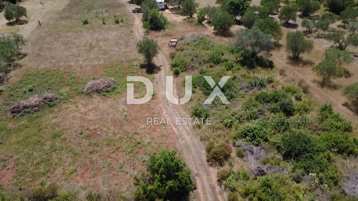 ZADAR, SUKOŠAN – Terreno edificabile a 300 m dal mare, 1128 m²