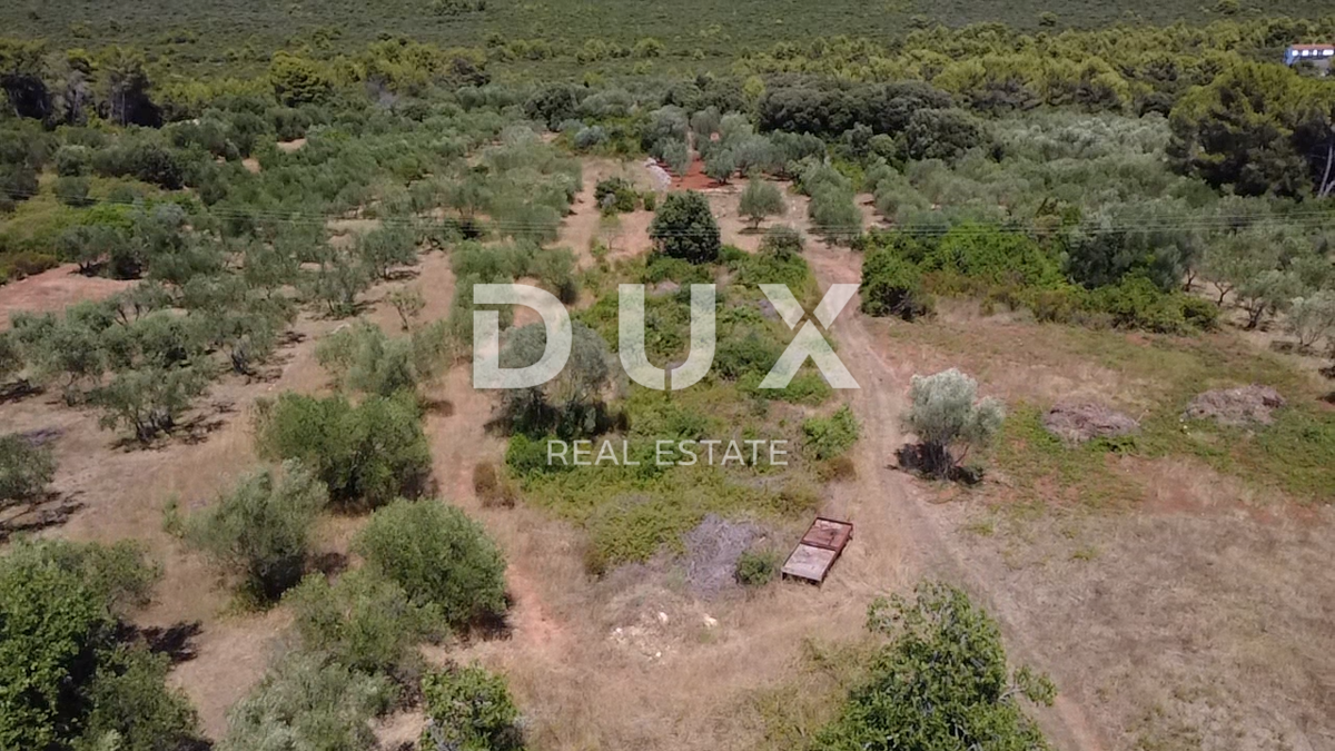 ZADAR, SUKOŠAN – Terreno edificabile a 300 m dal mare, 1128 m²