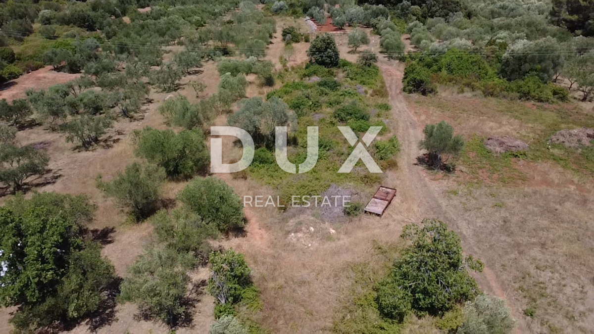 ZADAR, SUKOŠAN – Terreno edificabile a 300 m dal mare, 1128 m²