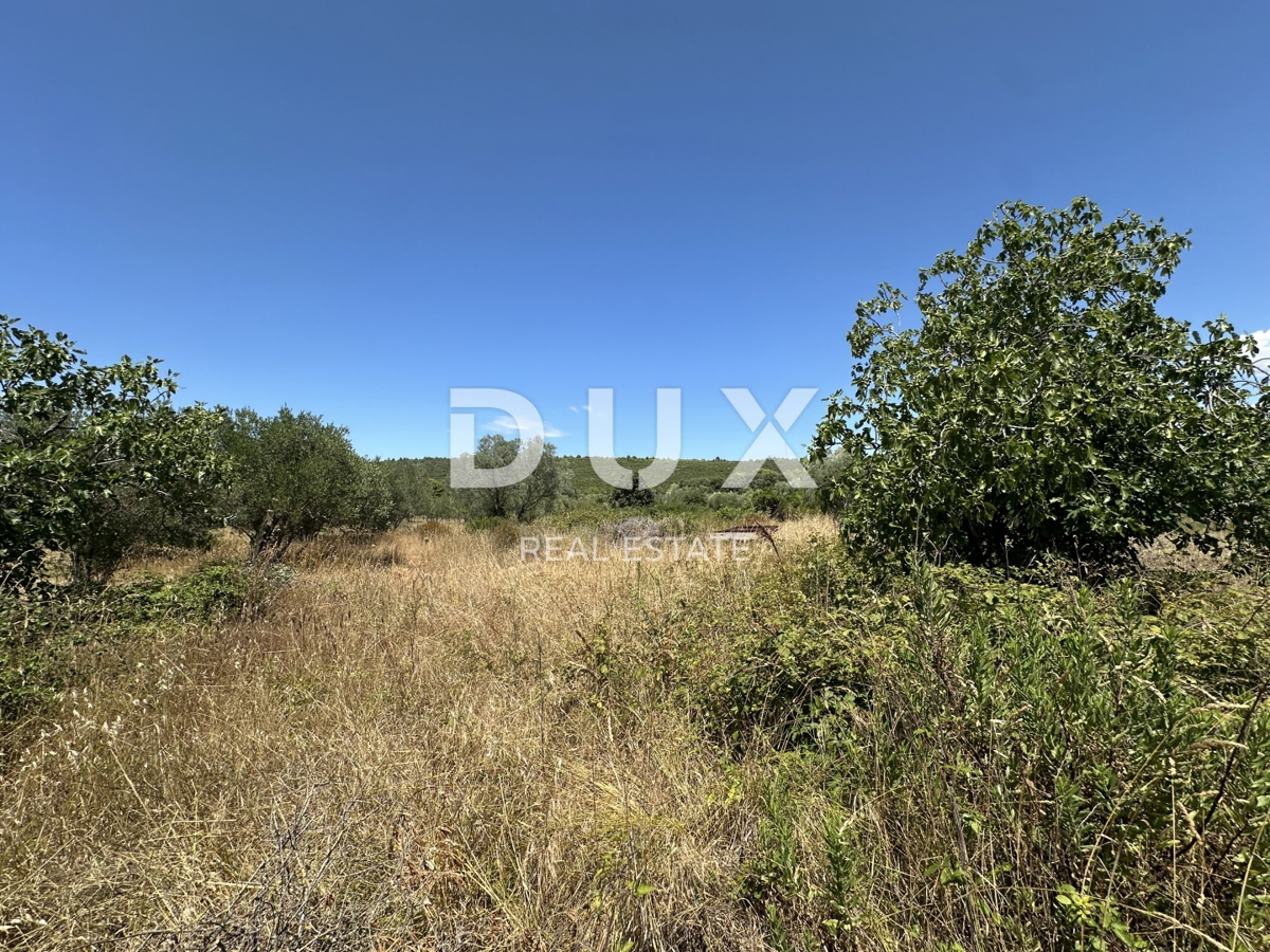 ZADAR, SUKOŠAN – Terreno edificabile a 300 m dal mare, 1128 m²