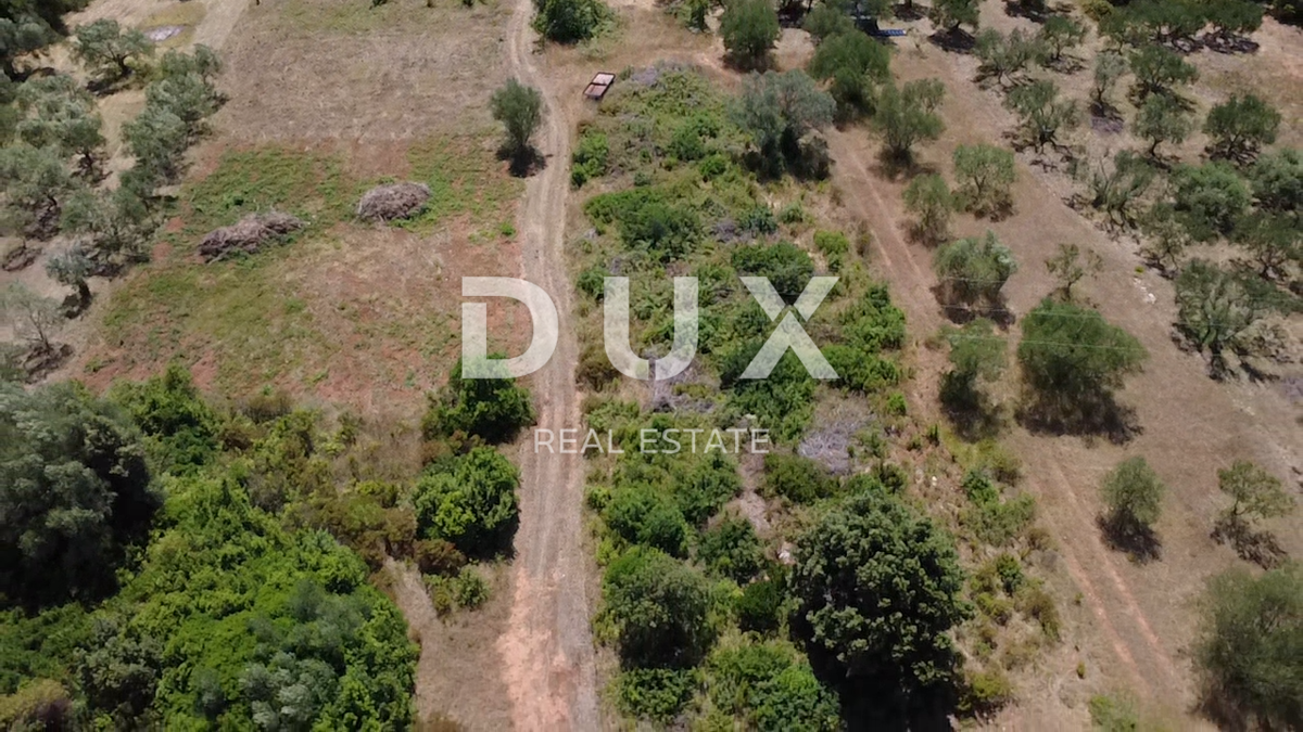 ZADAR, SUKOŠAN – Terreno edificabile a 300 m dal mare, 1128 m²