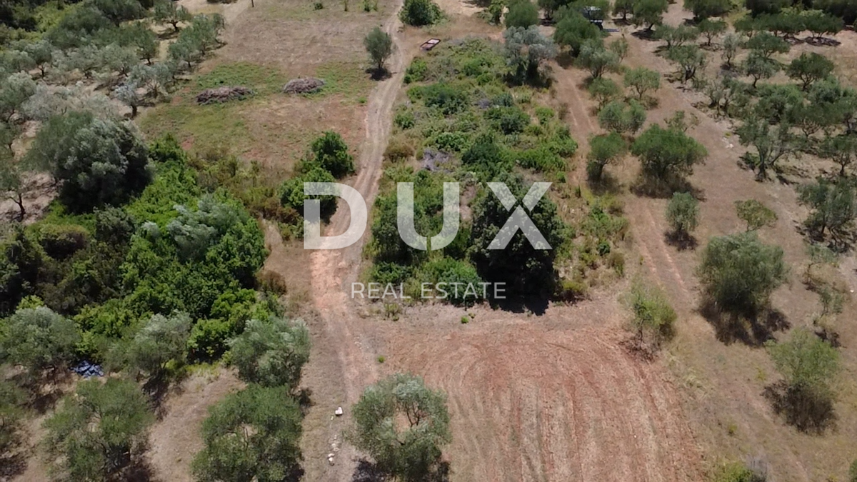 ZADAR, SUKOŠAN – Terreno edificabile a 300 m dal mare, 1128 m²