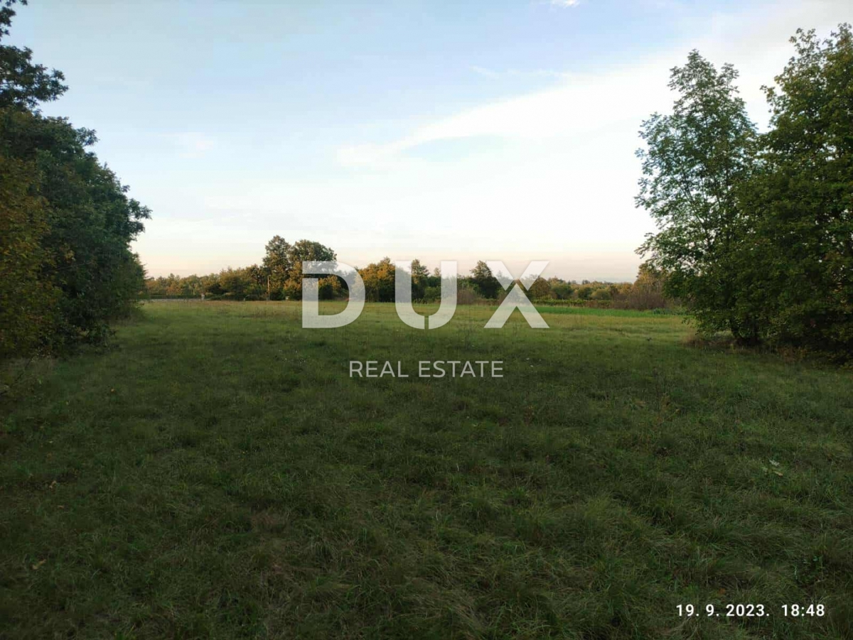 ISTRIA, ŽMINJ - Terreno edificabile di 1340 m² in una zona tranquilla di Žminj