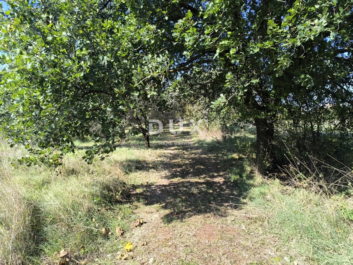 ISTRIA, POLA - Terreno edificabile + uliveto 5800 m2