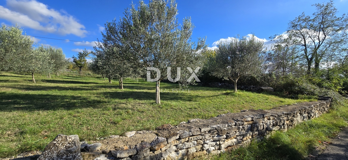 ISTRIA, PARENZO - Terreno edificabile vicino a Sveti Lovreč