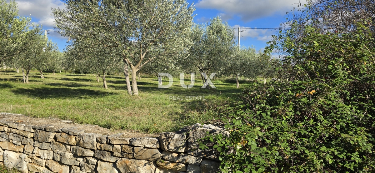 ISTRIA, PARENZO - Terreno edificabile vicino a Sveti Lovreč