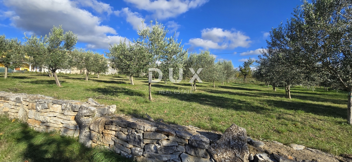 ISTRIA, PARENZO - Terreno edificabile vicino a Sveti Lovreč