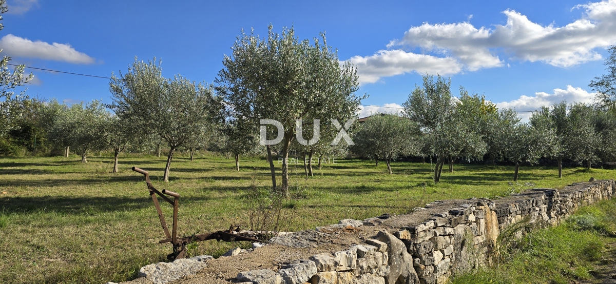 ISTRIA, PARENZO - Terreno edificabile vicino a Sveti Lovreč