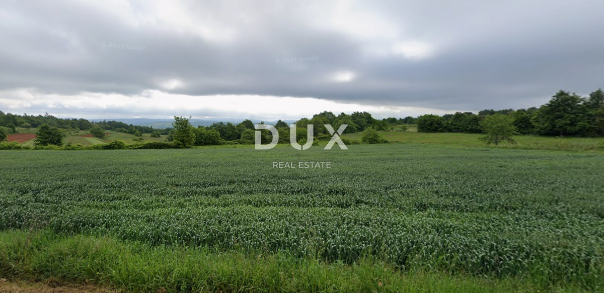 ISTRIA, BARBAN - Terreno agricolo ai margini dell'urbanizzazione con strada di accesso! Ottima opportunità!