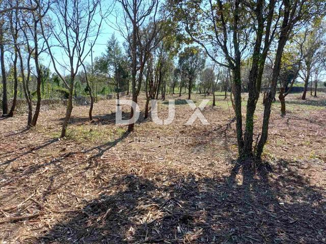 ISTRIA, RAKALJ - Terreno edificabile con grande potenziale