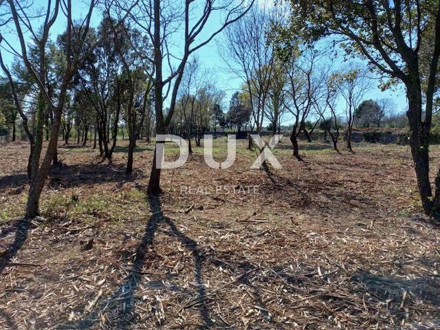 ISTRIA, RAKALJ - Terreno edificabile con grande potenziale