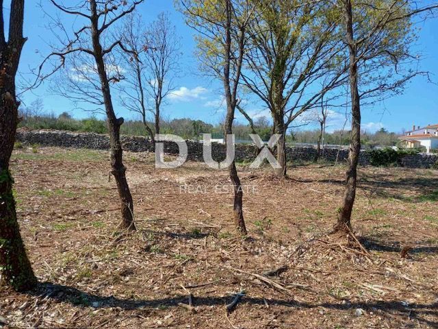 ISTRIA, RAKALJ - Terreno edificabile con grande potenziale