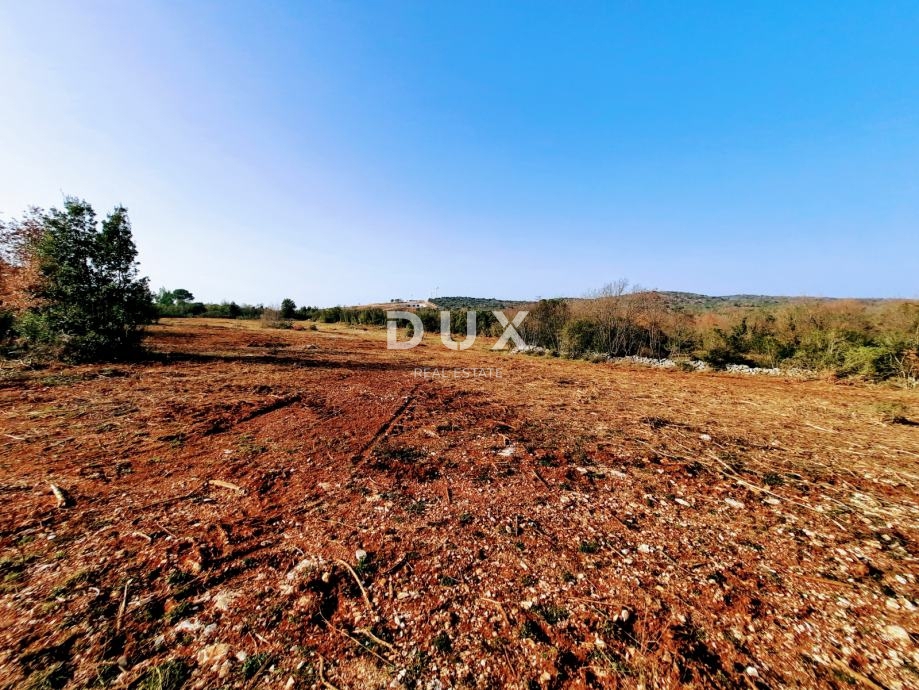ISTRIA, ROVIGNO - Terreno agricolo ideale