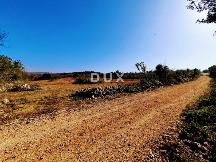 ISTRIA, ROVIGNO - Terreno agricolo ideale