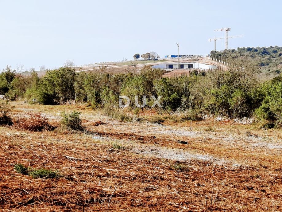ISTRIA, ROVIGNO - Terreno agricolo ideale