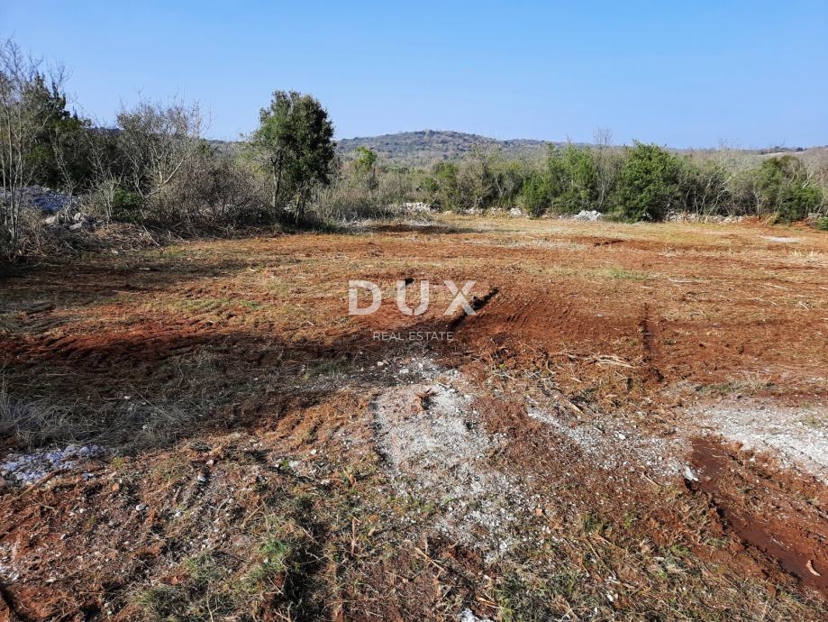 ISTRIA, ROVIGNO - Terreno agricolo ideale