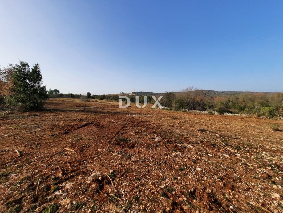 ISTRIA, ROVIGNO - Terreno agricolo ideale