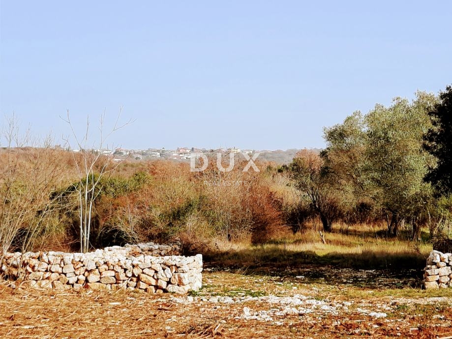 ISTRIA, ROVIGNO - Terreno agricolo ideale