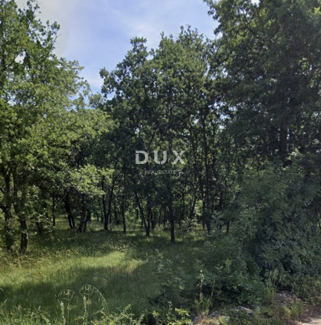 ISTRIA, PERUŠKI - Terreno agricolo 41600 m2