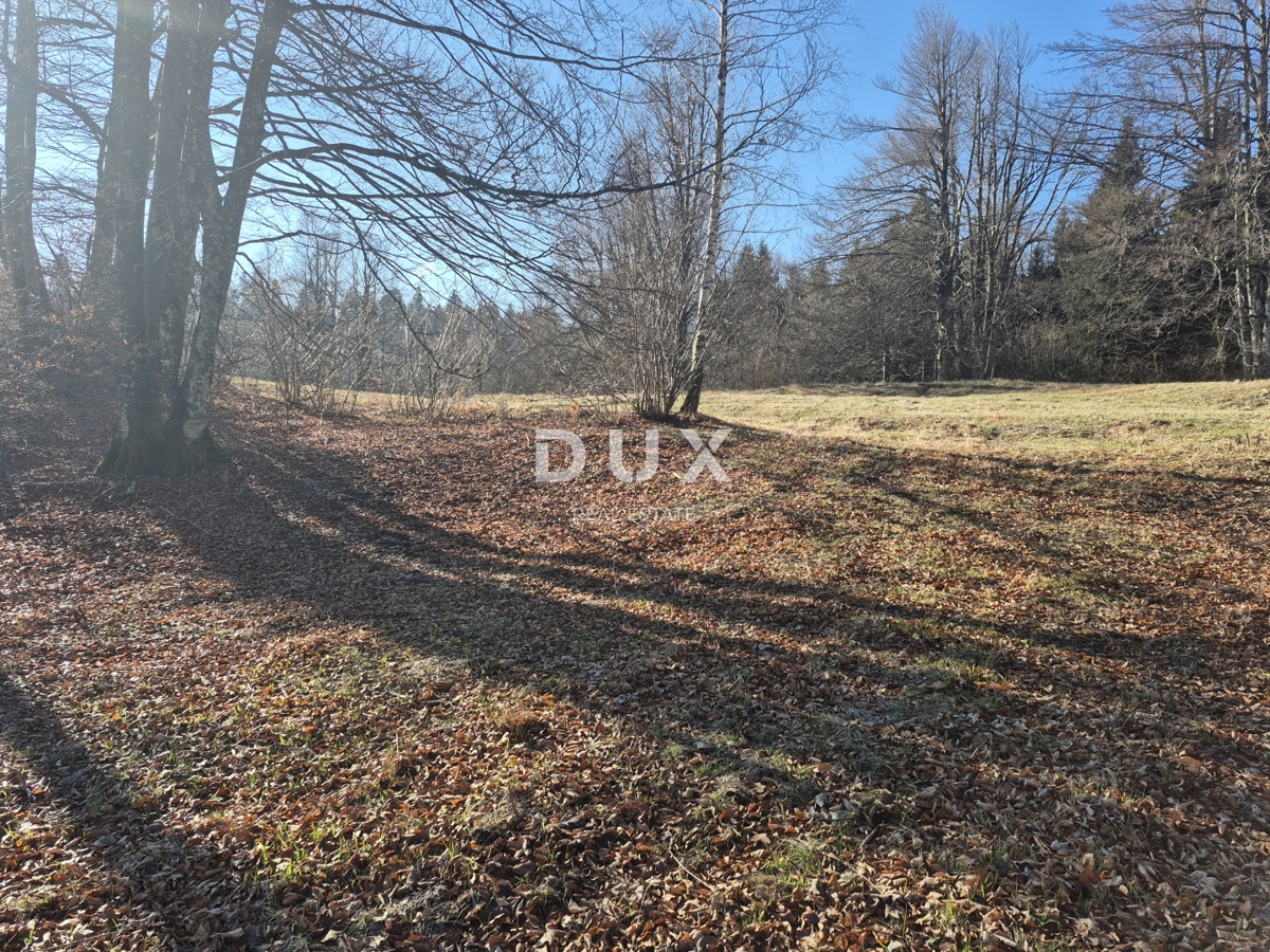 GORSKI KOTAR, FUŽINE - terreno edificabile 1198 m2 - opportunità di investimento!