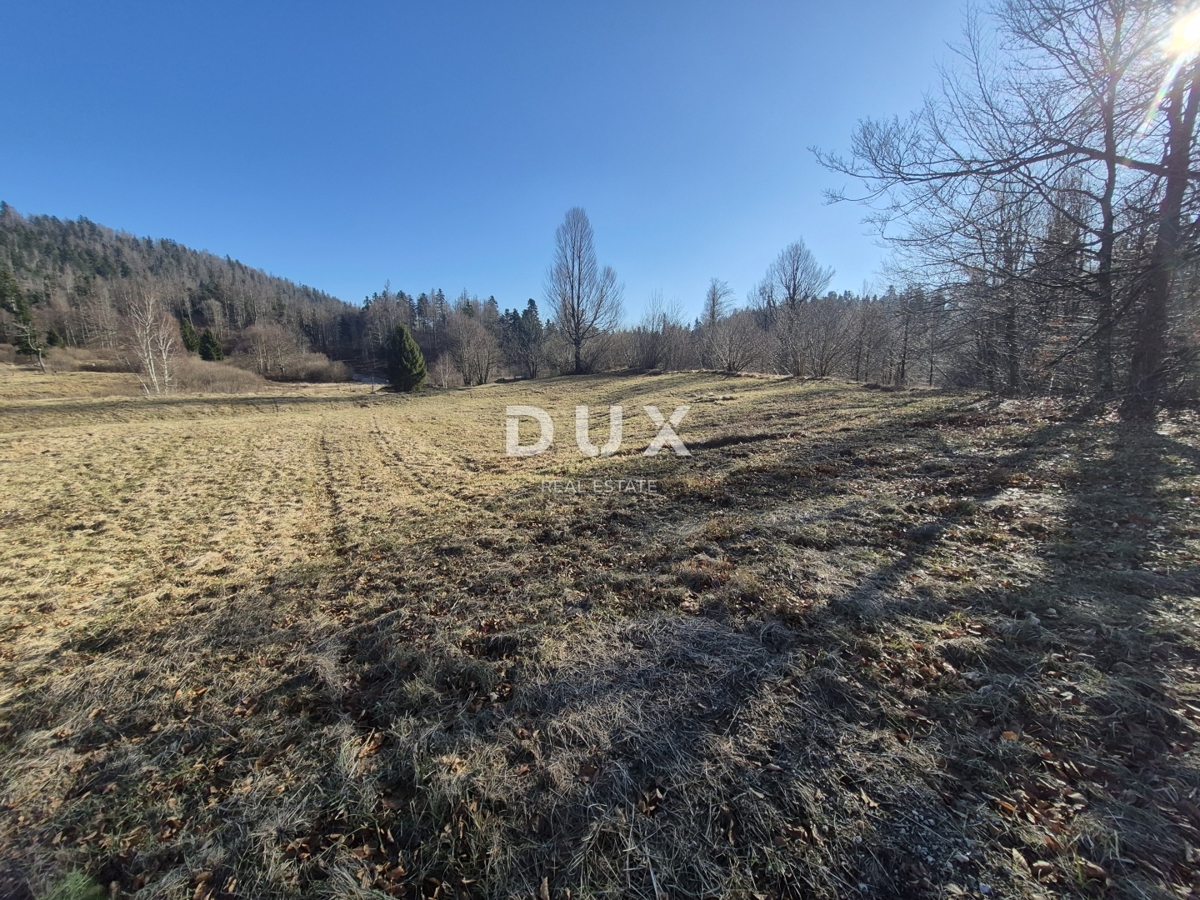 GORSKI KOTAR, FUŽINE - terreno edificabile 1198 m2 - opportunità di investimento!