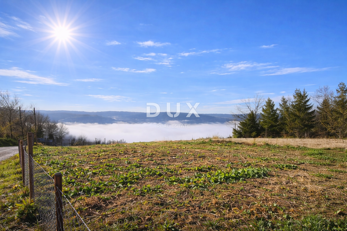 Terreno Brkač, Motovun, 697m2