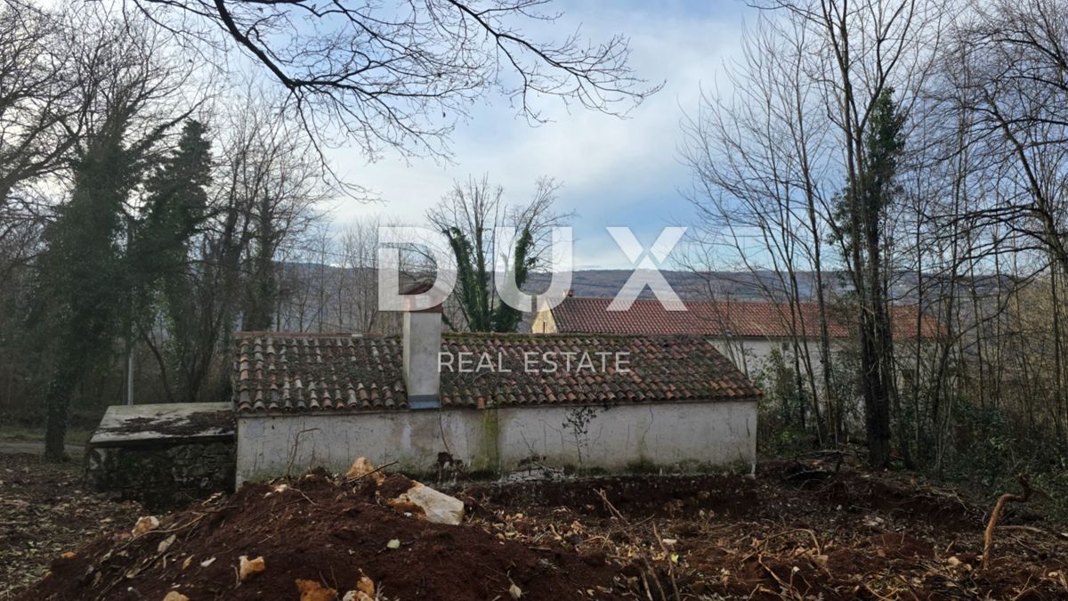 ISTRIA, LABIN - Casa indipendente in pietra con ampio giardino