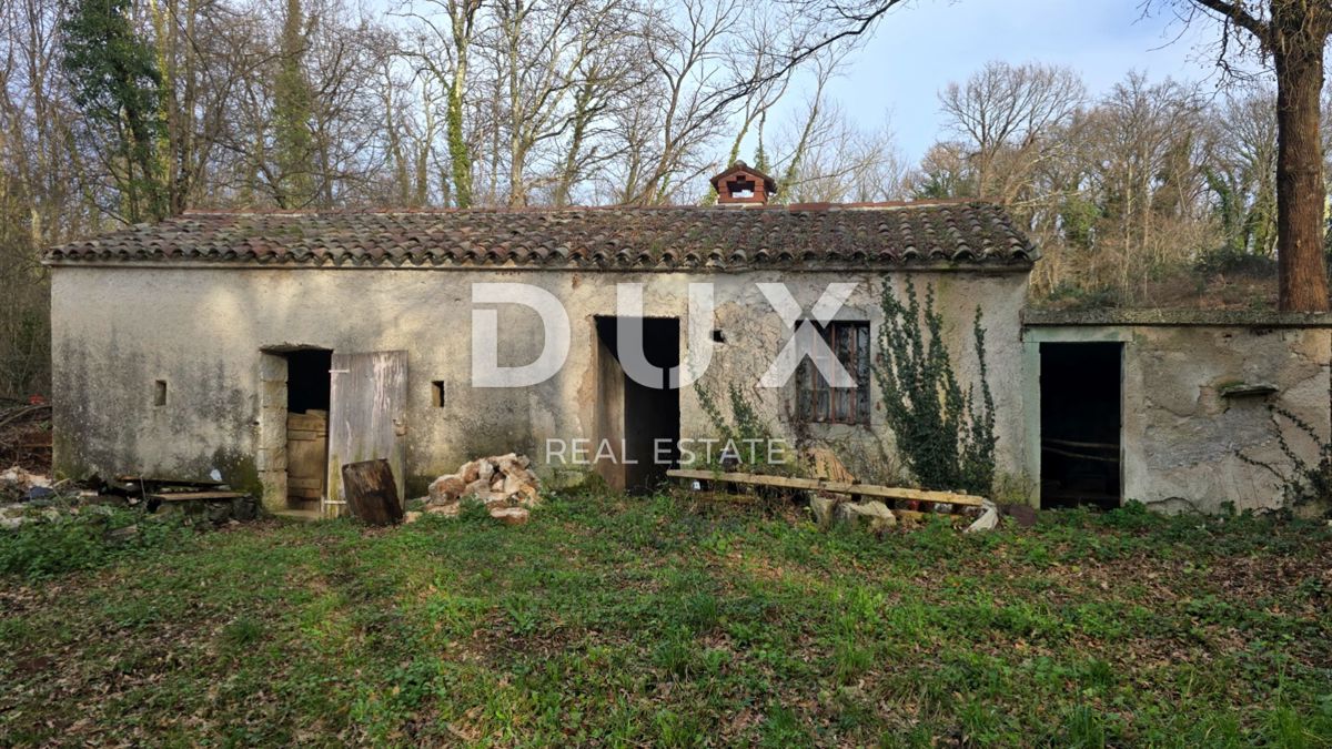 ISTRIA, LABIN - Casa indipendente in pietra con ampio giardino