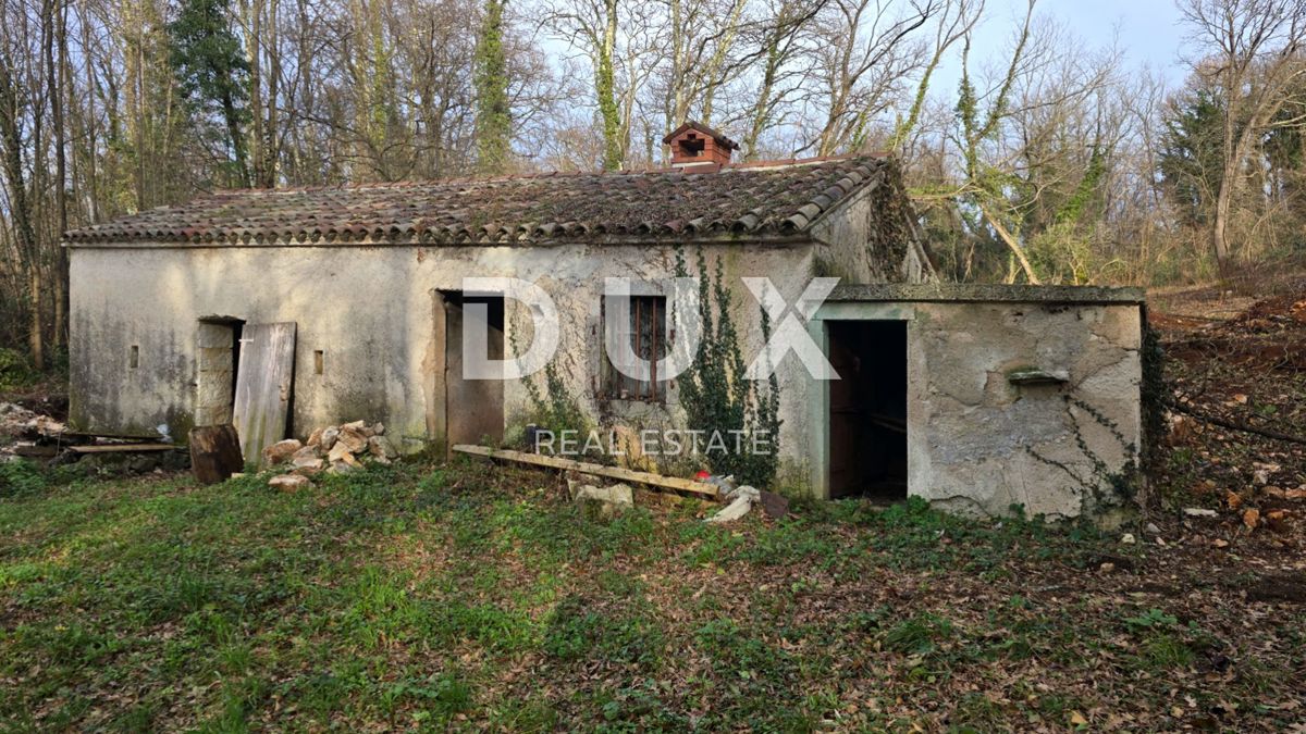 ISTRIA, LABIN - Casa indipendente in pietra con ampio giardino