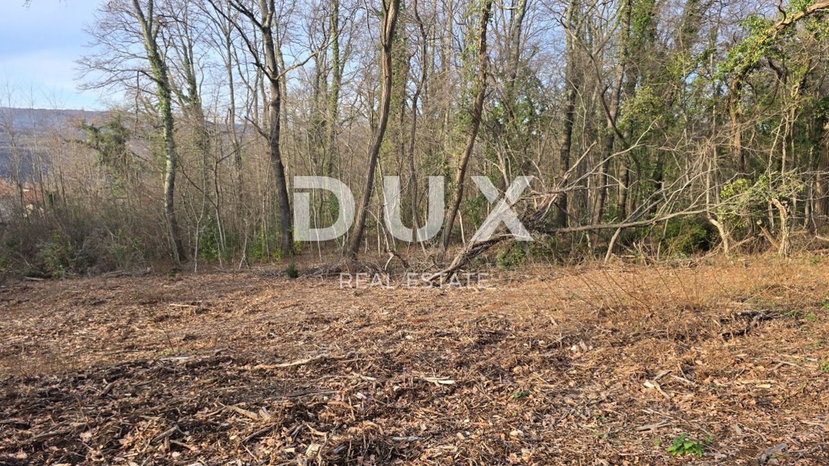 ISTRIA, LABIN - Casa indipendente in pietra con ampio giardino