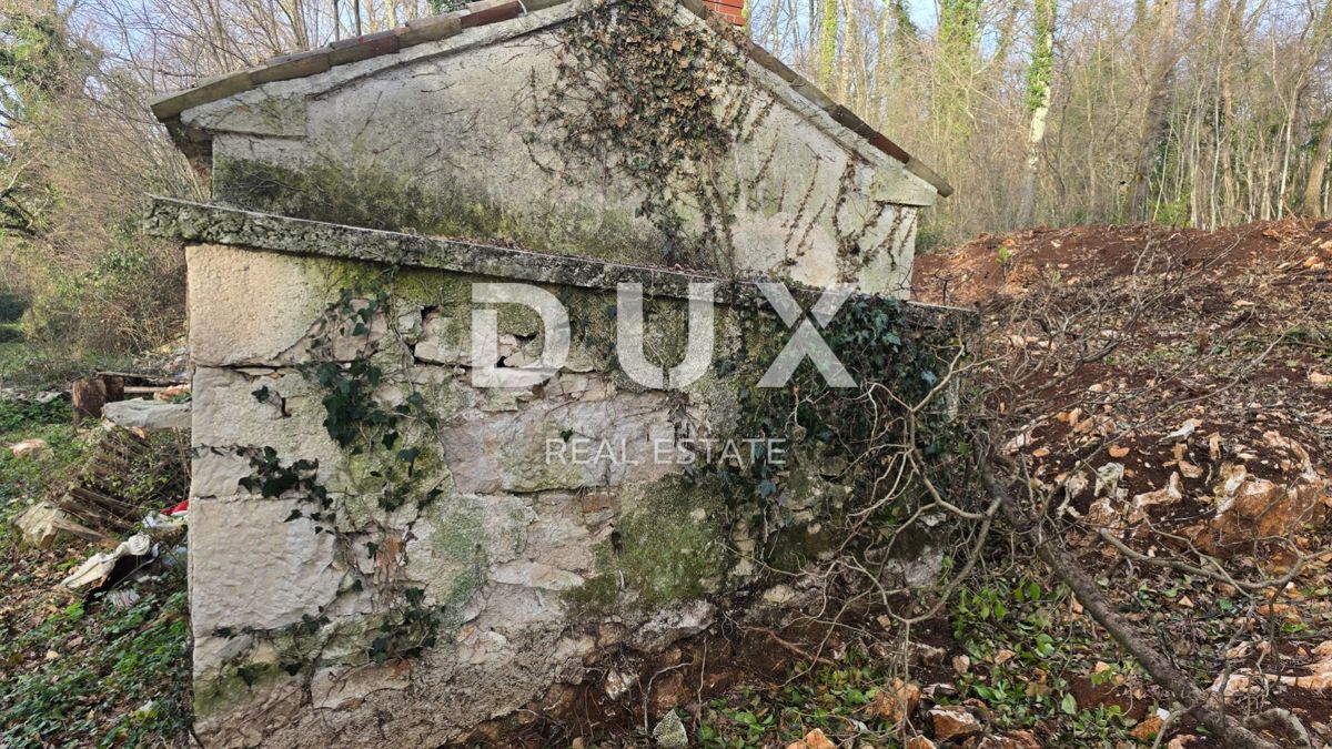 ISTRIA, LABIN - Casa indipendente in pietra con ampio giardino